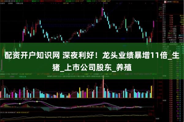 配资开户知识网 深夜利好！龙头业绩暴增11倍_生猪_上市公司股东_养殖